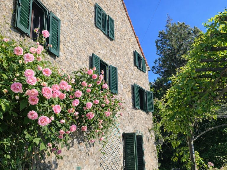 Außenansicht des Gästehauses in Montefegatesi mit blühendem Rosenbusch – exklusives Retreat für Führungskräfte in der Toskana